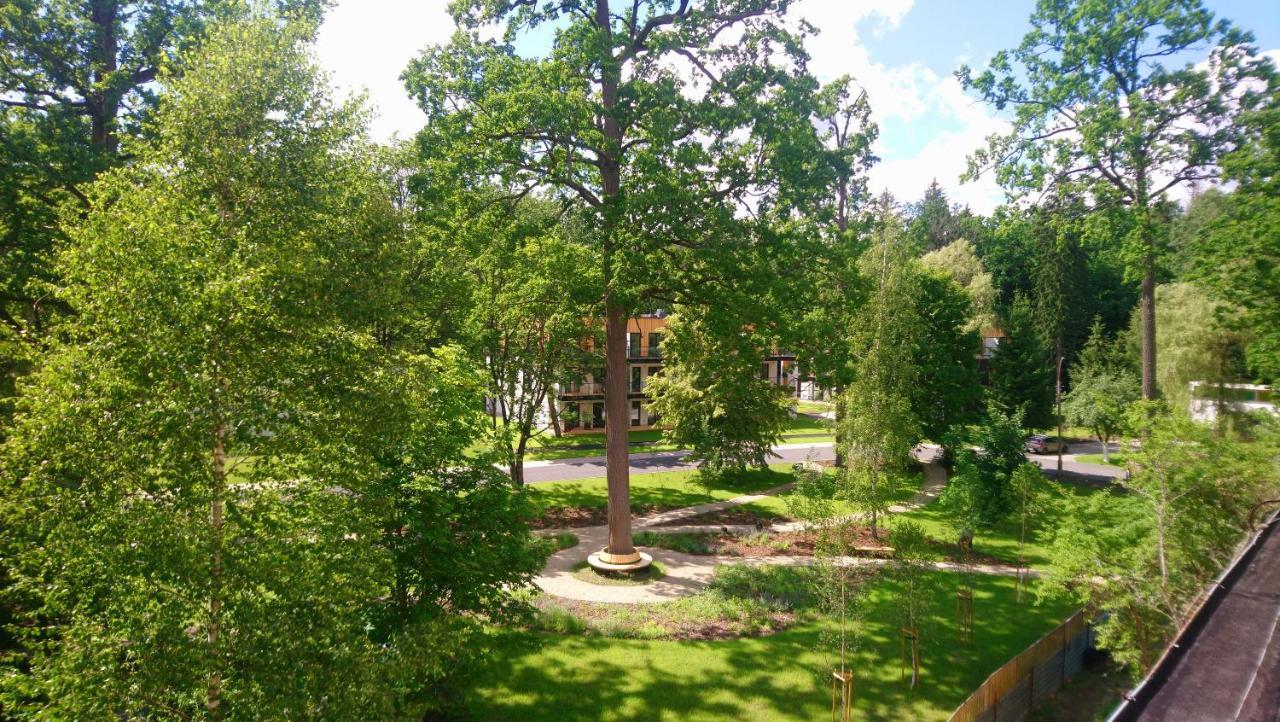 Enklawa Bialowieska Forest & Spa Hajnówka Extérieur photo